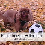 Robbenglueck Tossens - Ruhe, Garten Und Nordseegefuehl