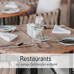 Robbenglueck In Ideal Fuer Familien Und Freunde - 2 Hunde Ohne Aufpreis *