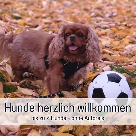 Robbenglueck Tossens - 2 Ferienwohnungen Oder Ganzes Haus, Bis 10 Personen, Grosser Garten, Hunde Willkommen, 1,5 Km Zum Deich