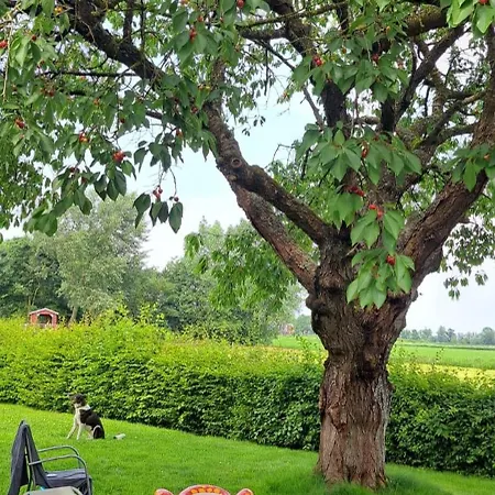 Robbenglueck Tossens - 2 Ferienwohnungen Oder Ganzes Haus, Bis 10 Personen, Grosser Garten, Hunde Willkommen, 1,5 Km Zum Deich טוסנס