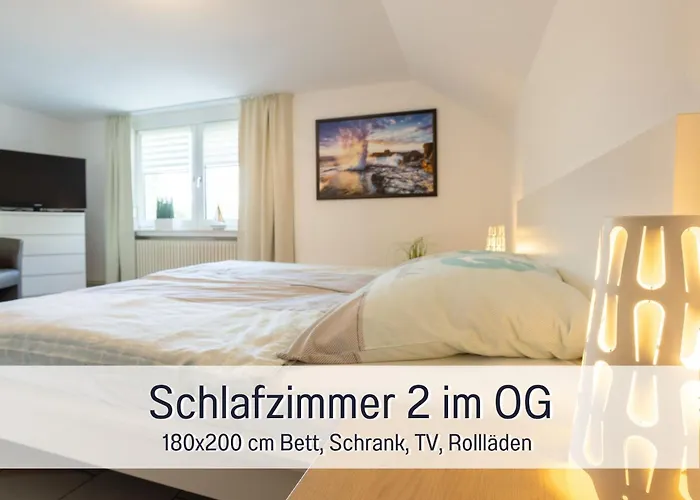 Robbenglueck In Ideal Fuer Familien Und Freunde - 2 Hunde Ohne Aufpreis * Tossens