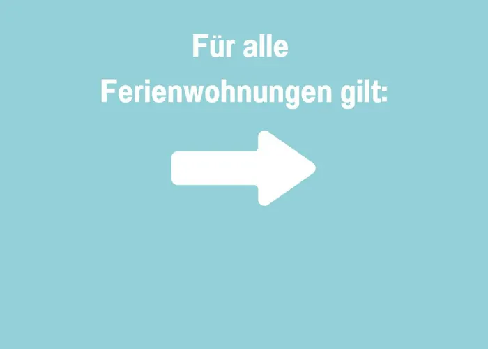 Robbenglueck In Ideal Fuer Familien Und Freunde - 2 Hunde Ohne Aufpreis *