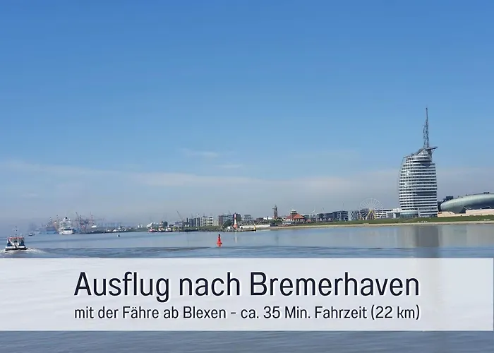 Robbenglueck In Ideal Fuer Familien Und Freunde - 2 Hunde Ohne Aufpreis トッセンス